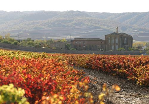 Rutas visitas guiadas tours guiados excursiones de los Monasterios en La Rioja