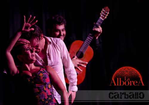 show flamenco alborea Granada