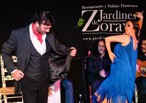 Jardines de Zoraya flamenco show in granada