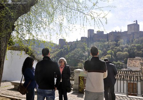 书指南游览引导阿罕布拉和拉里弗的私人旅游